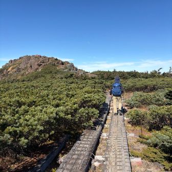 稜線にでました。あそこが山頂かな。まもなく。