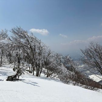 昨日の☃️が残っててきれい✨