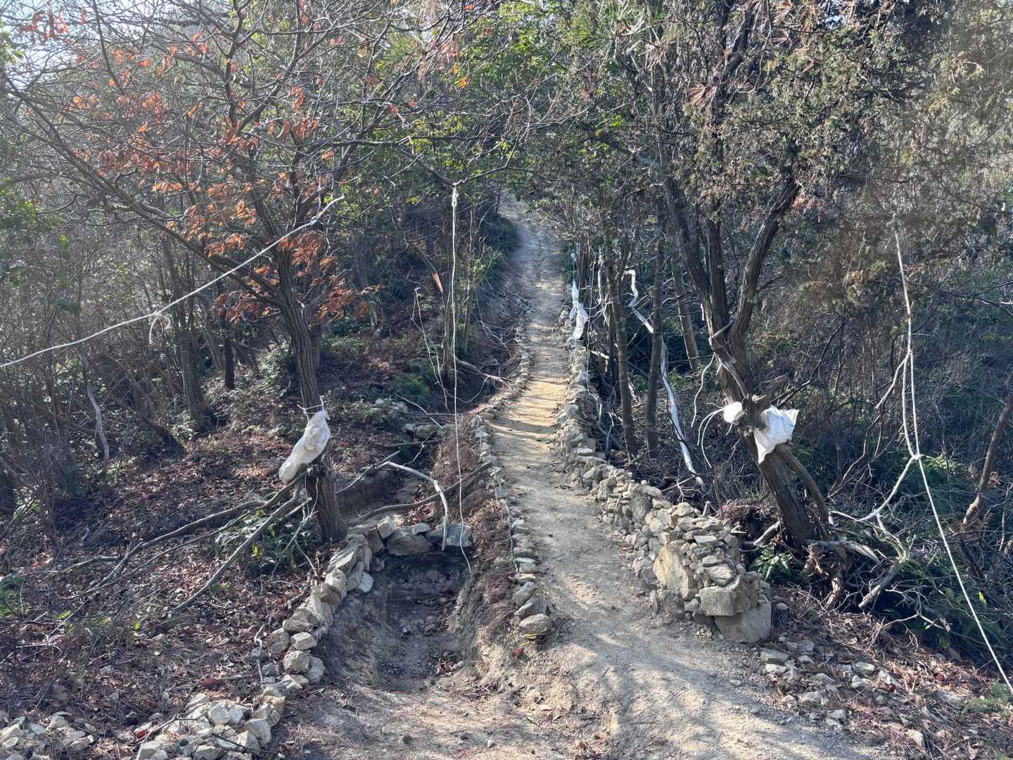 整備されたハイキング道🙏