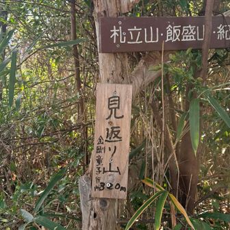 少し周り道してピーク取りに⛰️