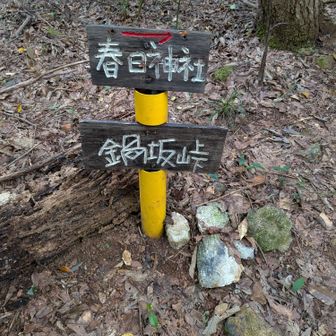 ここまで急下り