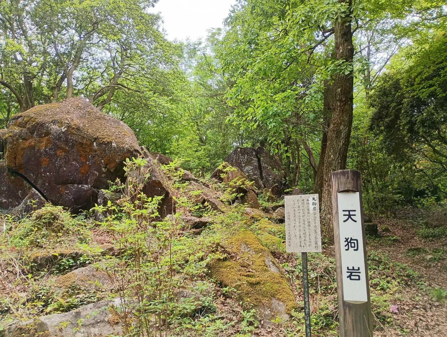 何回訪れてもどれが天狗岩か不明のまま
