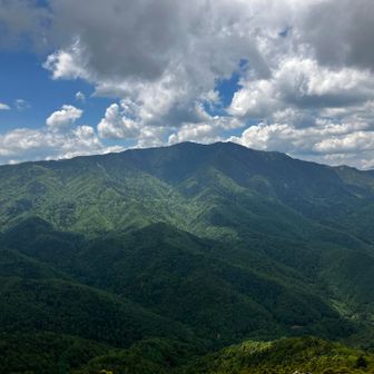 山頂の奥には絶好の展望所があります。
正面には国師ヶ岳や北千丈岳が望めます
わかりにくいけど国師の左側には金峰山の五丈岩が小さく顔を覗かせてます。