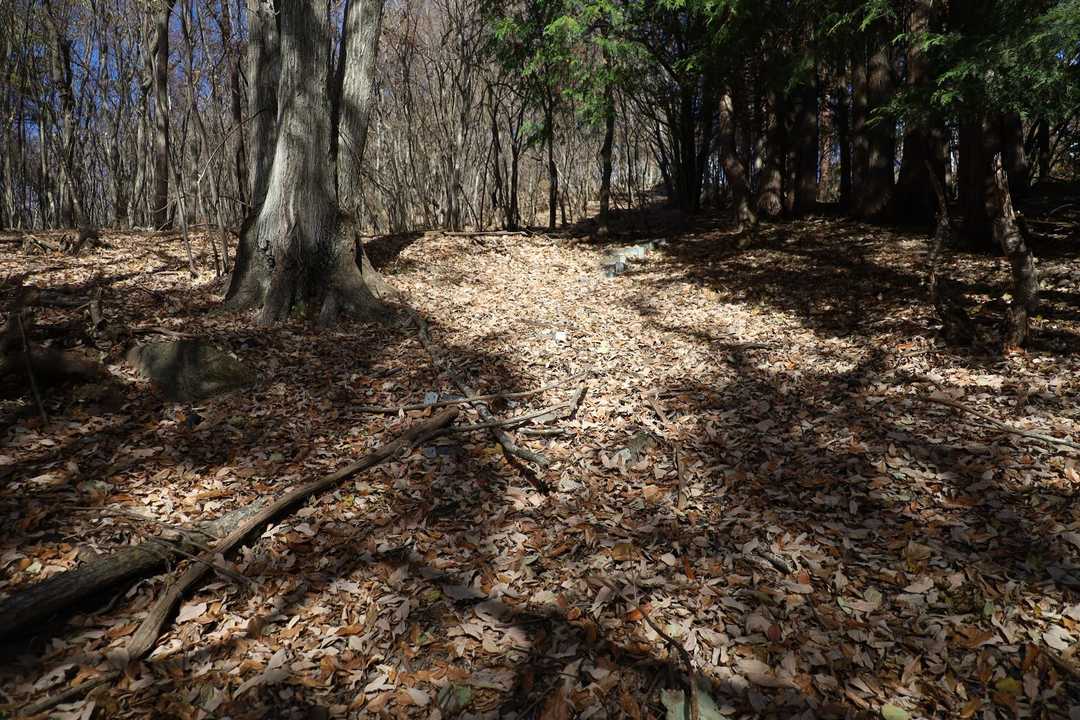 左のジグザグか右の階段から登れるところを直登で入り、右の階段に合流して進む。落ち葉で隠れた階段。落ち葉を払いながら進むとペースが上がるはずもなく。。