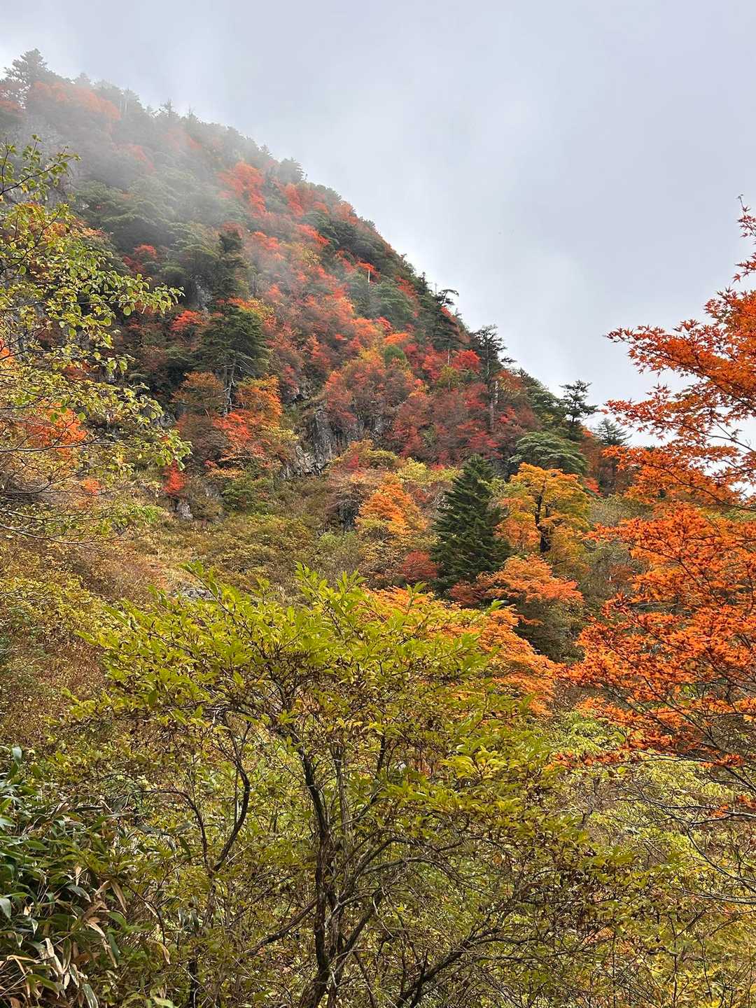 土小屋登山口-石鎚山 縦走コースの写真