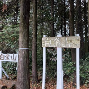 看板が何種類も