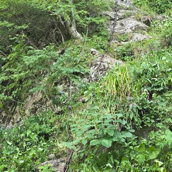 筒上山への鎖場　あの上で終わりじゃないよ