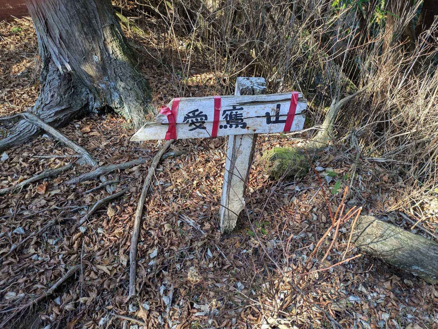 水神社登山口-愛鷹山 往復コースの写真