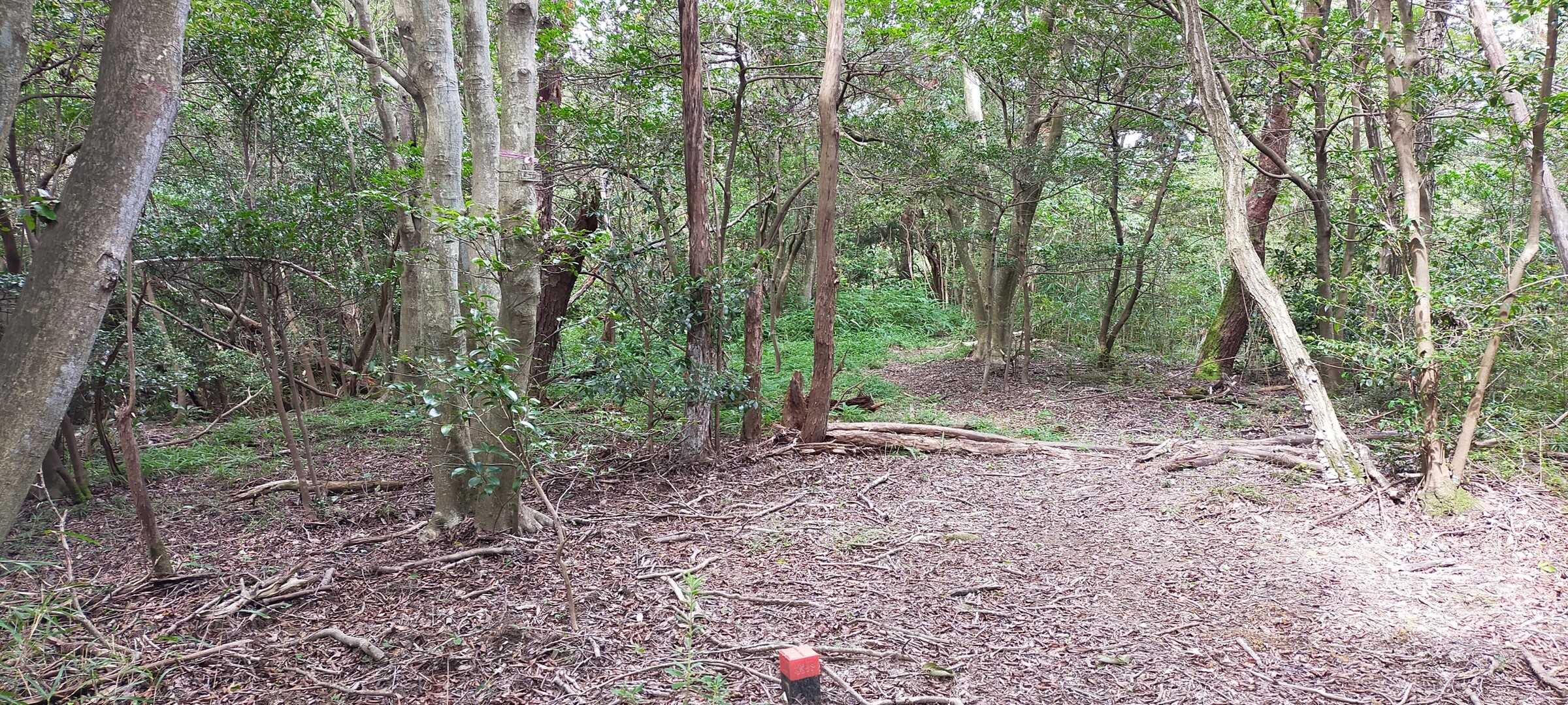 黒五山の写真