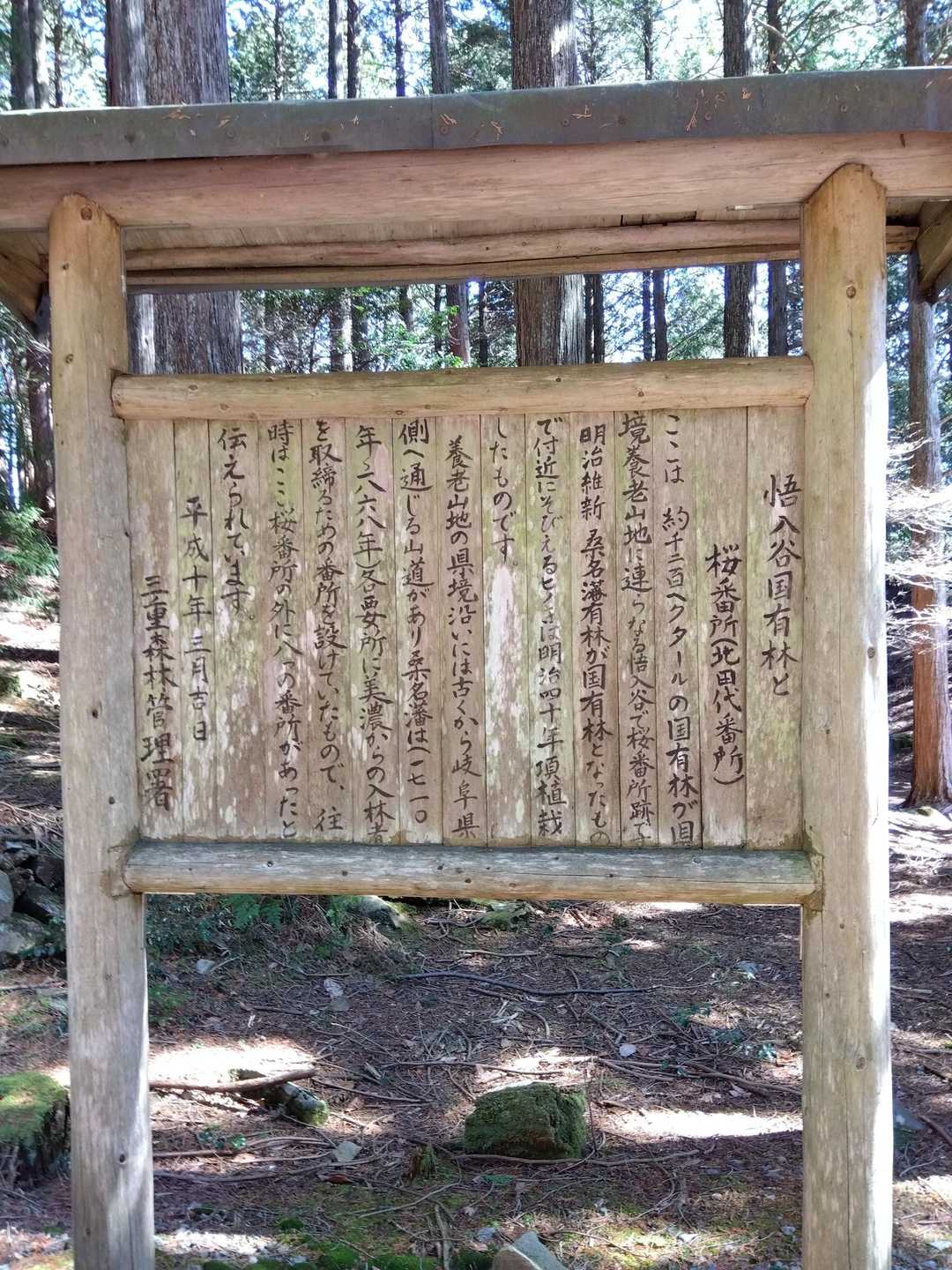 羽沢-鎌知土-田代越-飯盛山 周回コースの写真
