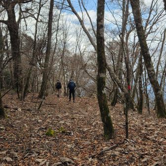 展望地まで行ってみます！