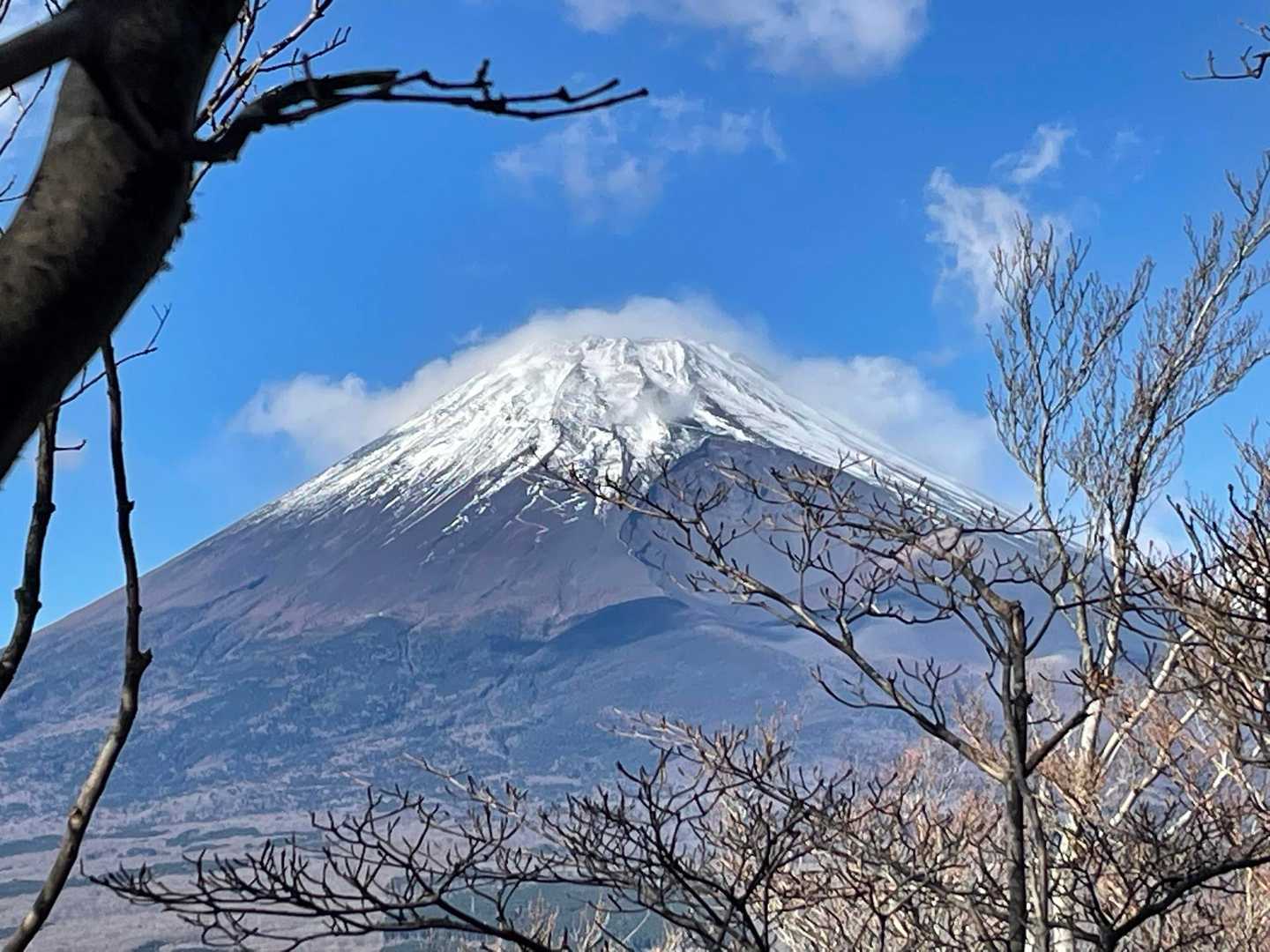 綺麗だな〜
