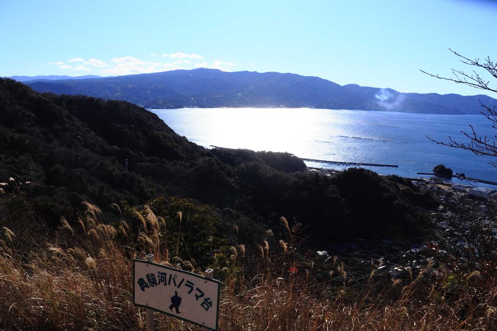 この辺駿河湾パラダイス