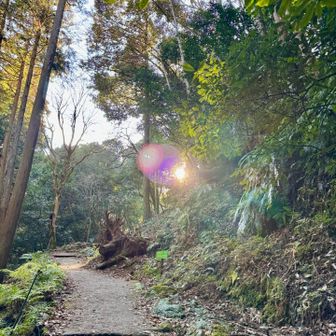 私の初日の出☀️