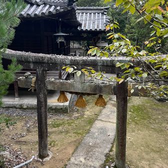 寒河八幡宮の境内に帰り着く