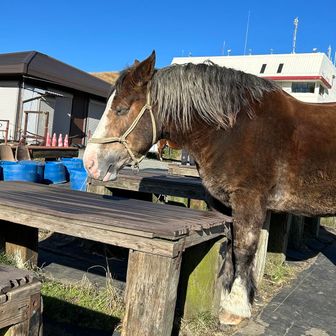 眠そう、私も眠い
