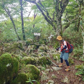山頂はこんな感じ
眺望はない
虫が多いので去ります