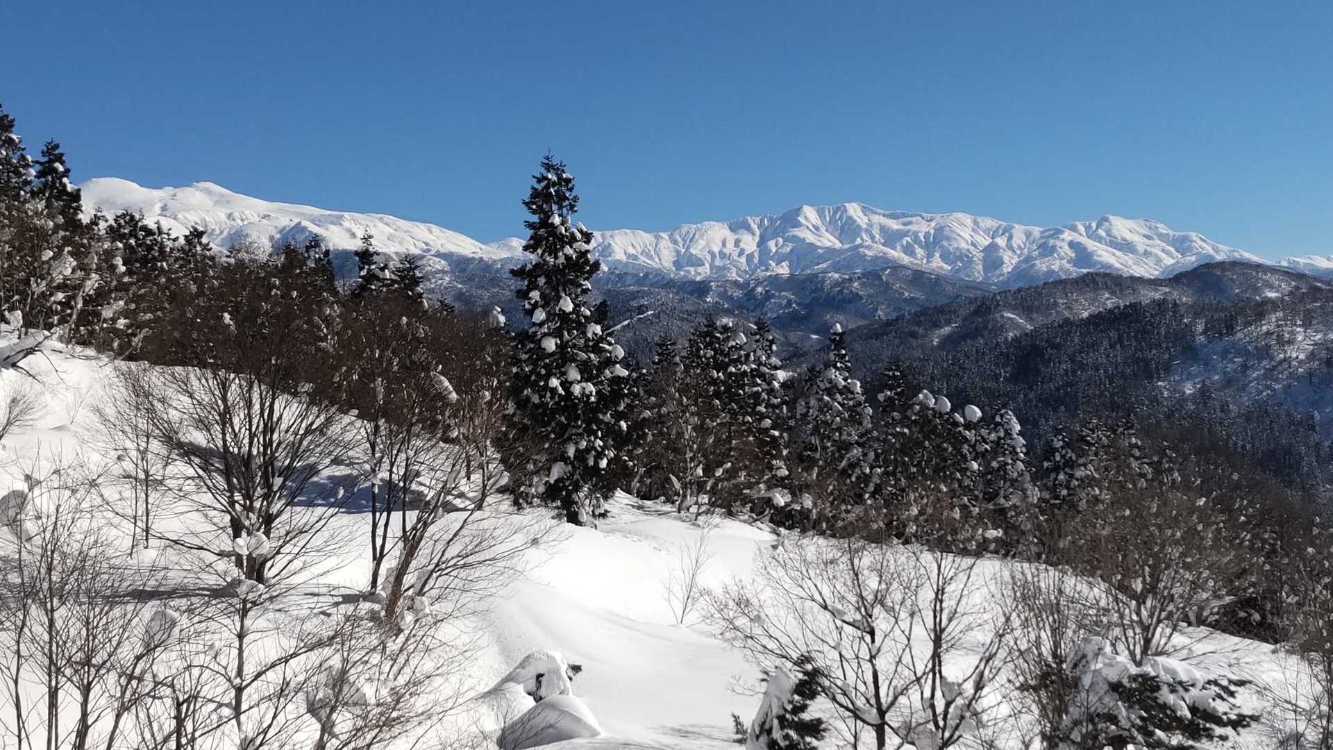 西山 周回コースの写真