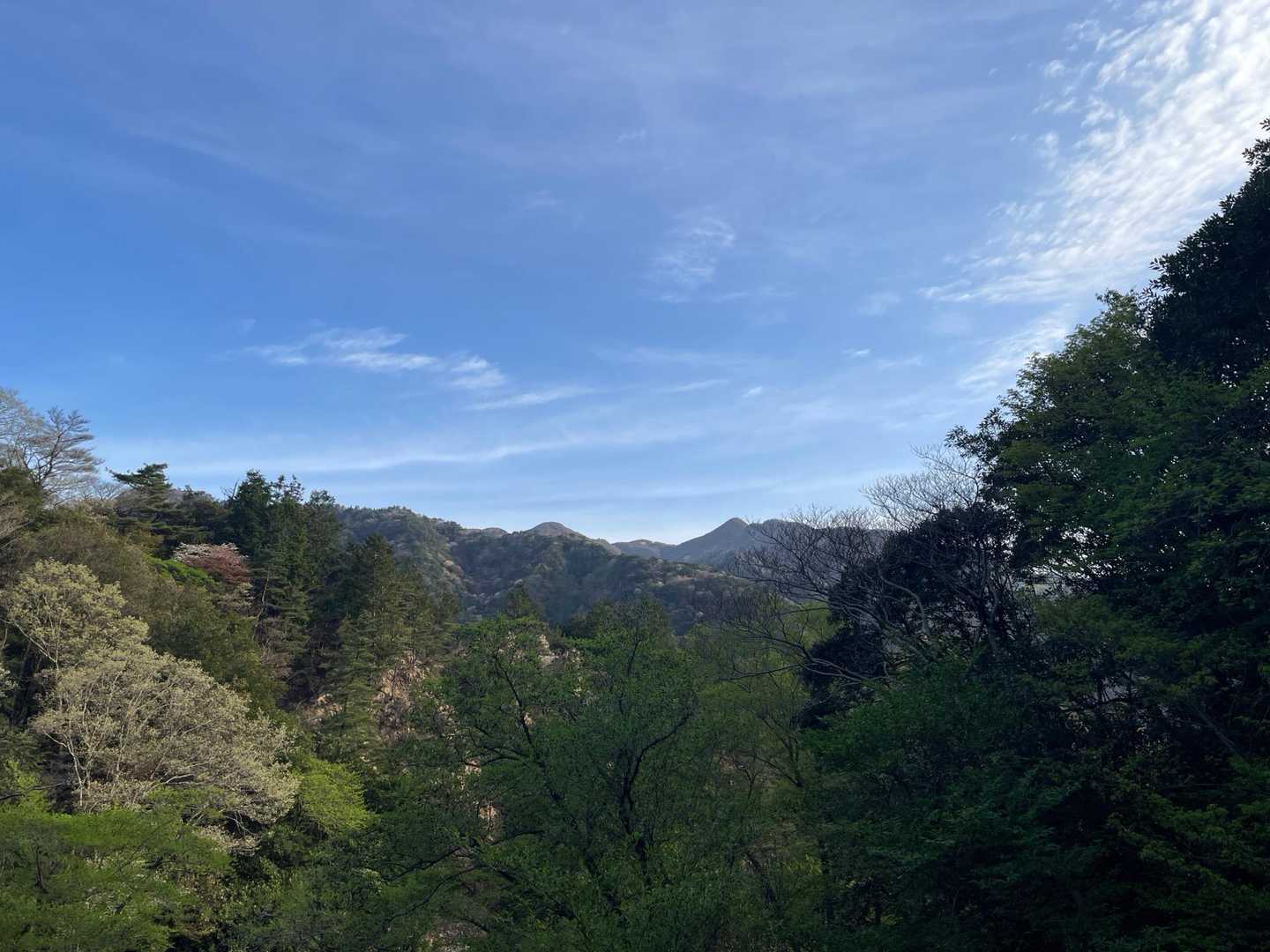 今日は快晴