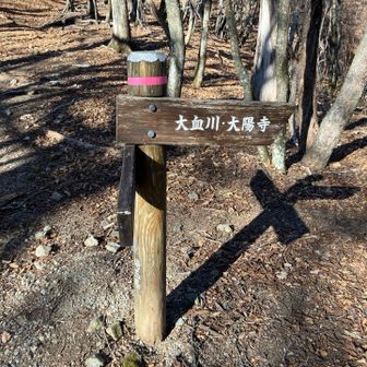 太陽寺方面もあるようです
大血川　インパクトのある川名です