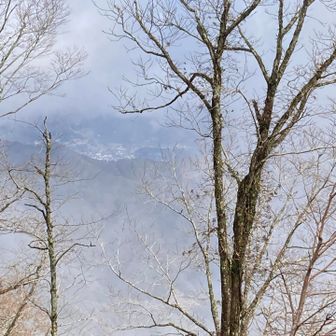 すこーし霧が晴れて来た！