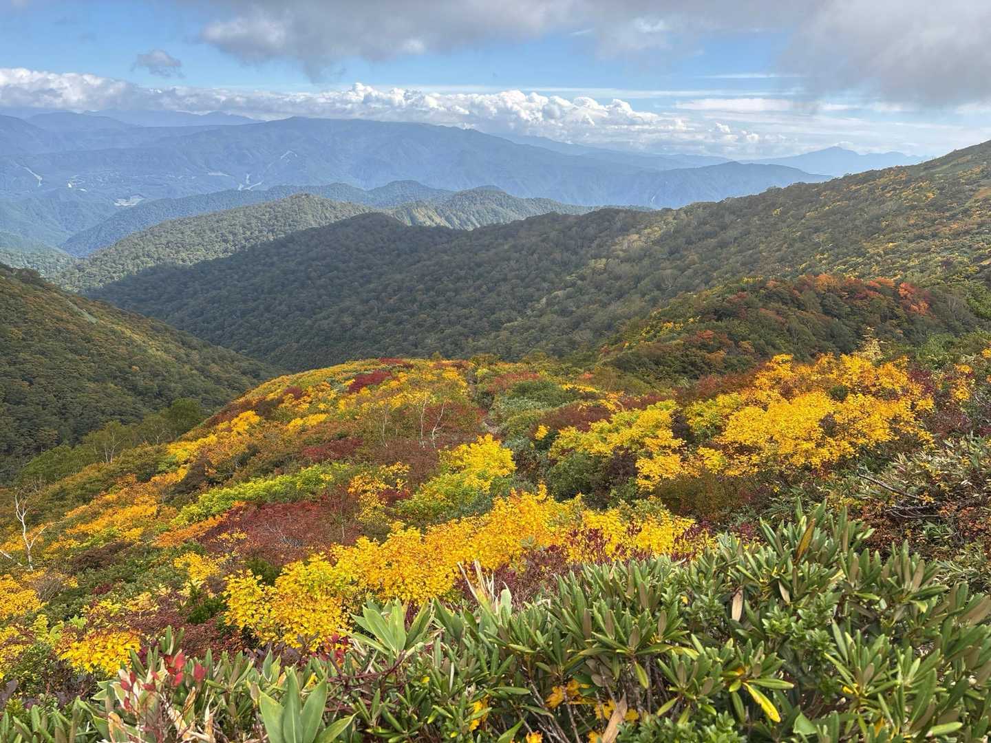 熊穴沢ノ頭-天狗の留まり場-谷川岳-一ノ倉岳-茂倉岳-武能 縦走コースの写真