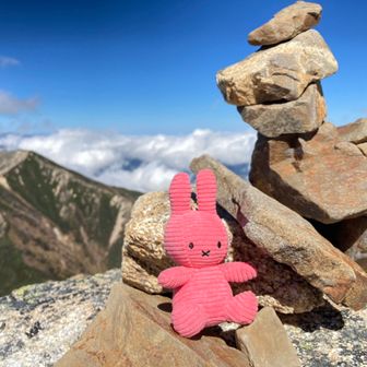 はるはあけぼの