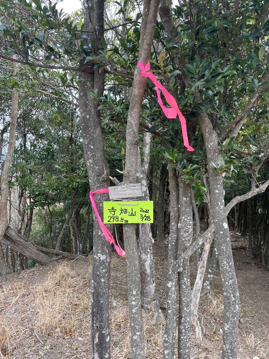 山頂着