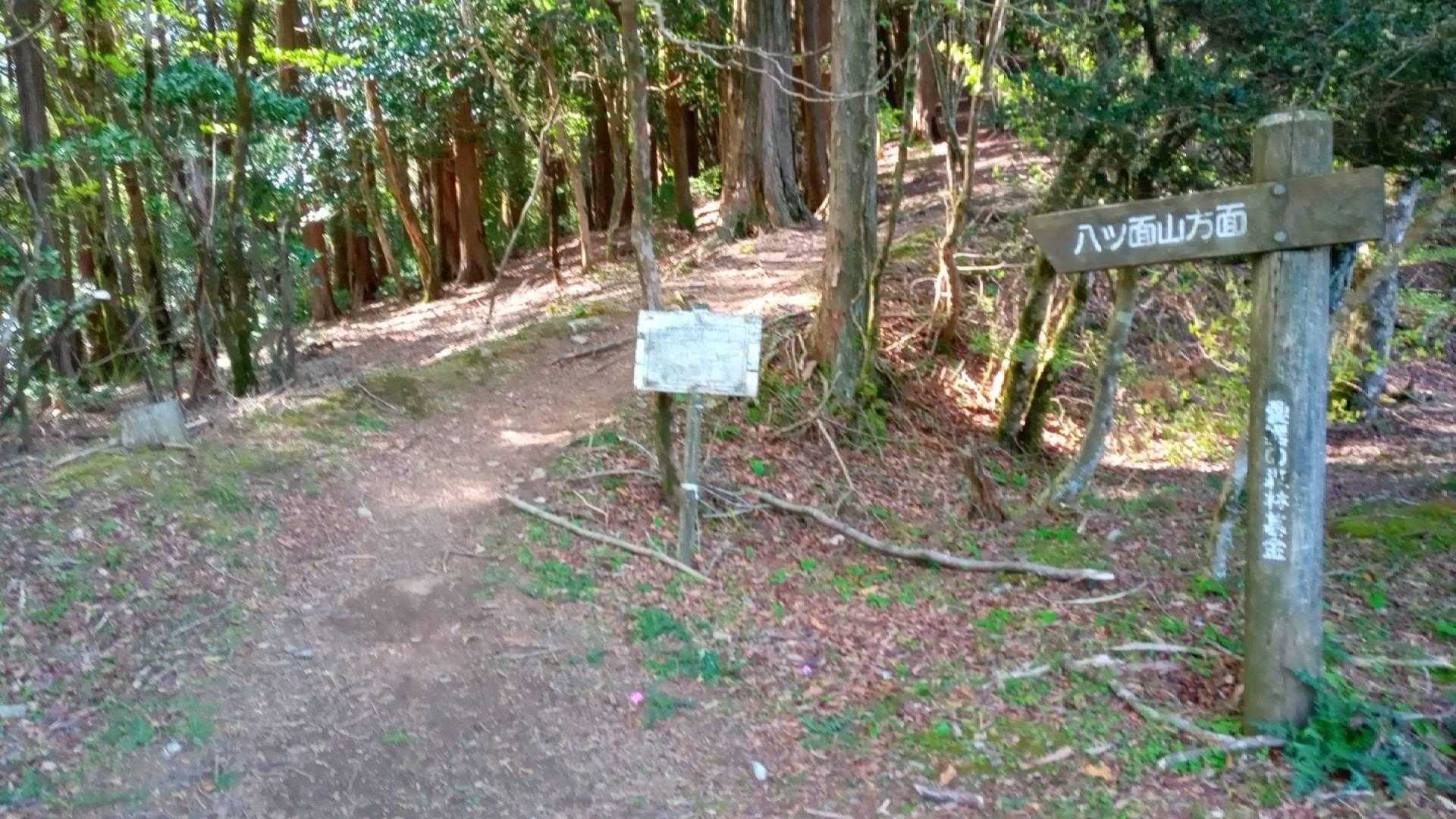 鹿のコル駐車場🅿️のここからスタートしました…🚶