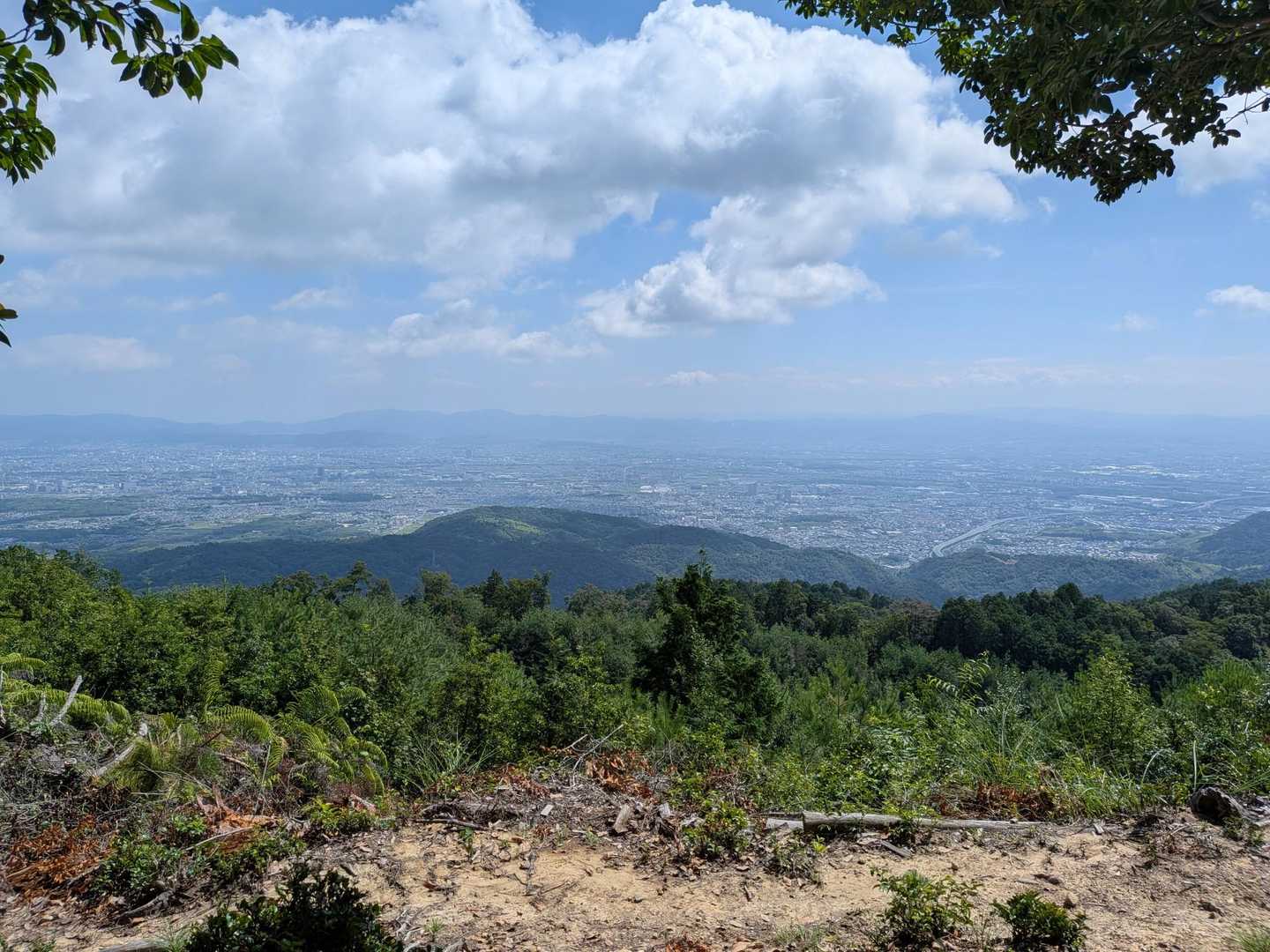 大沢山 往復コースの写真