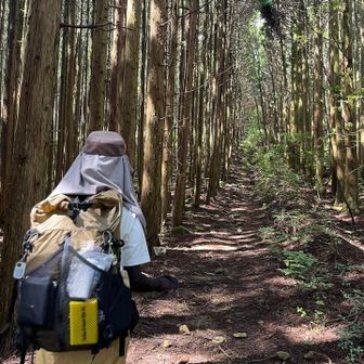 ゆるそうに見えて、
結構急登多め
滝汗〜

今日は図らずとも双子コーデだった我ら👀