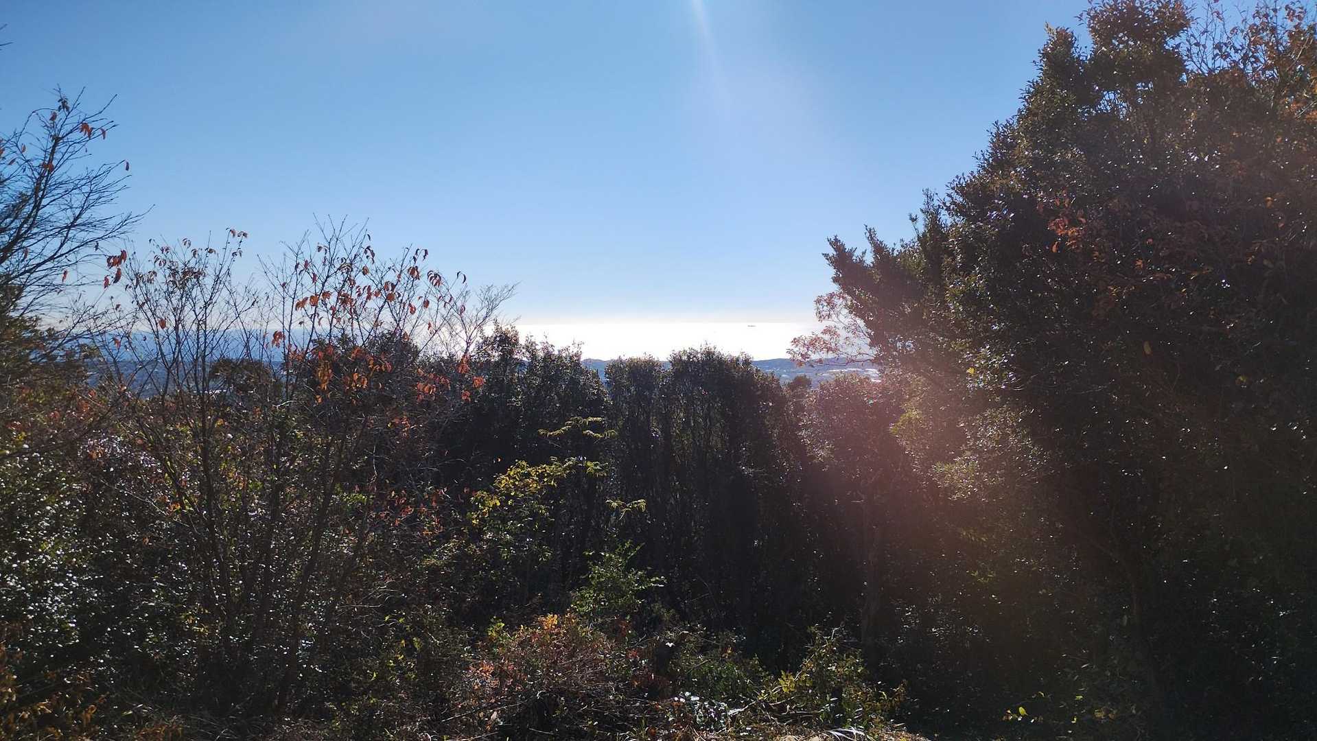 庄十山-藤尾山-中西山-衣笠山 周回コースの写真