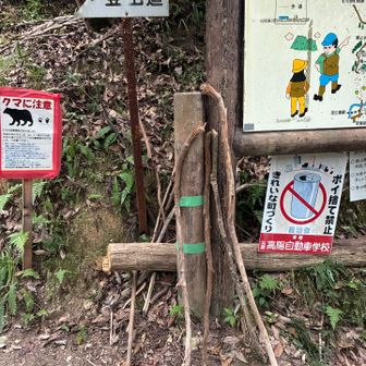 拾った木をストックがわりに🪾
クマは2026/6/30に頂上付近にて出たそうですよ！🐻