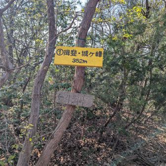 ここにも山頂マーク✨