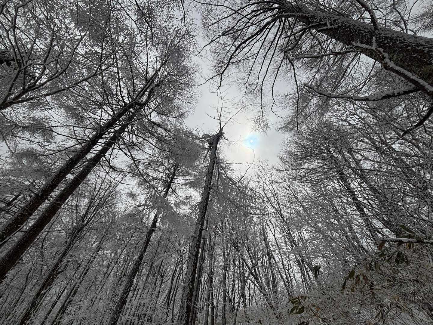 三和峠-風越-聖峠-聖山 往復コースの写真