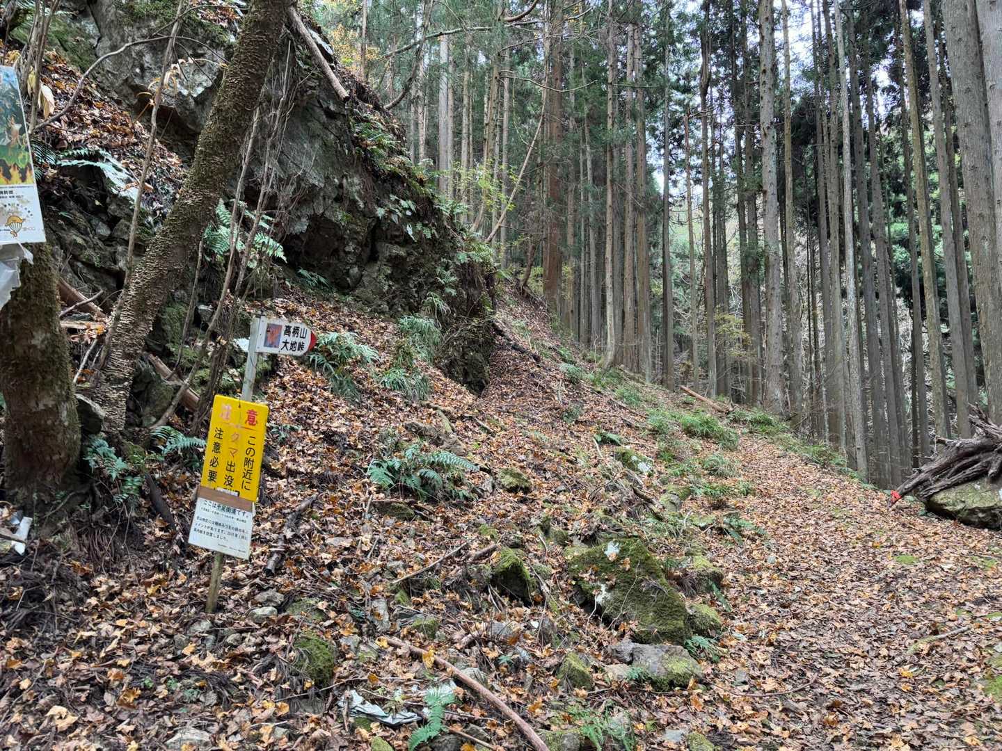 登山口
