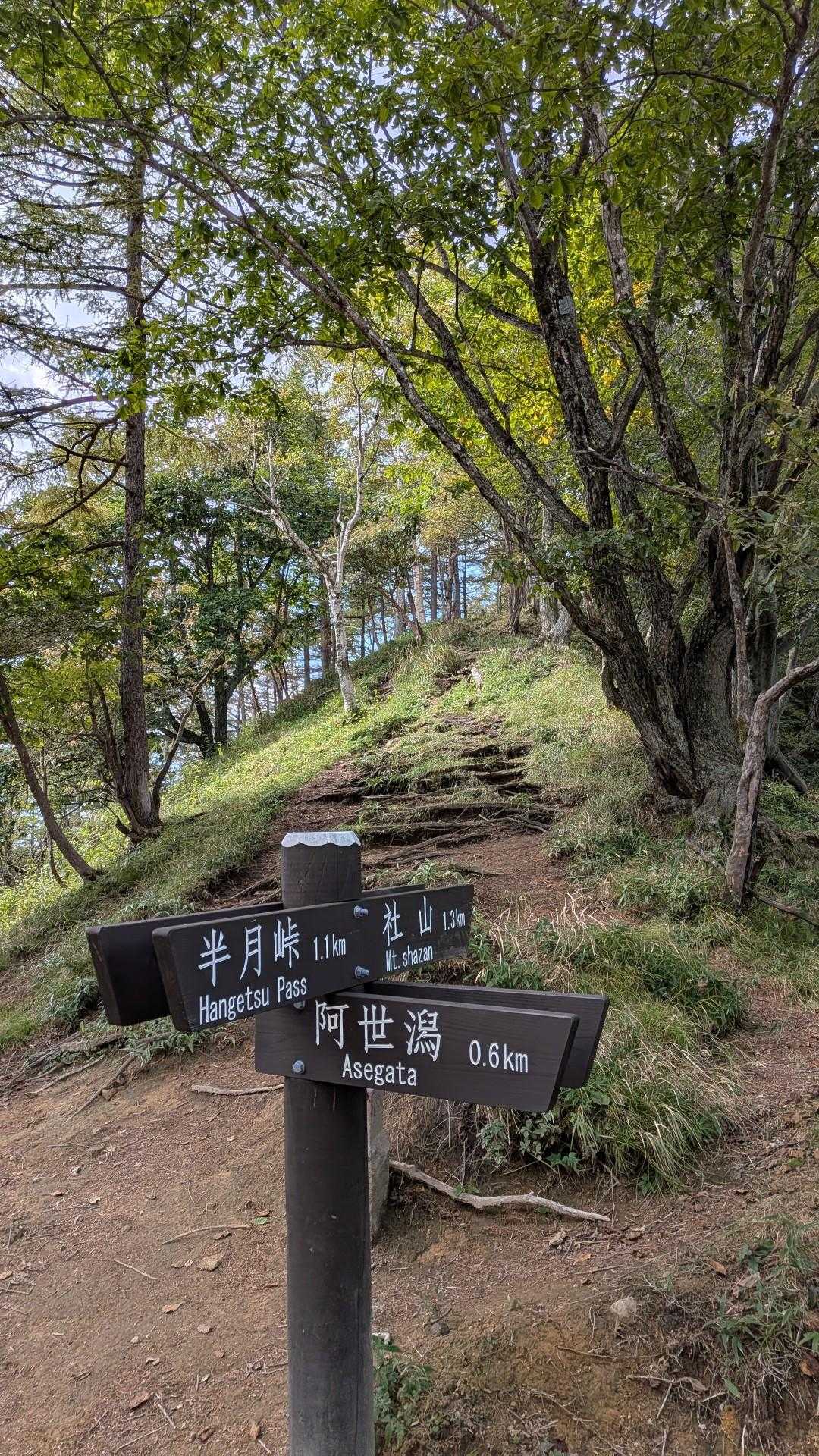 半月山登山口-半月峠-中禅寺山-阿世潟峠 往復コースの写真
