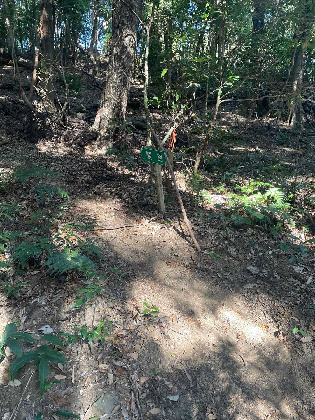 青井岳登山道入口-青井岳 往復コースの写真