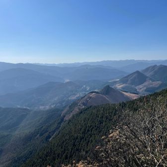 イワシの口からの景色