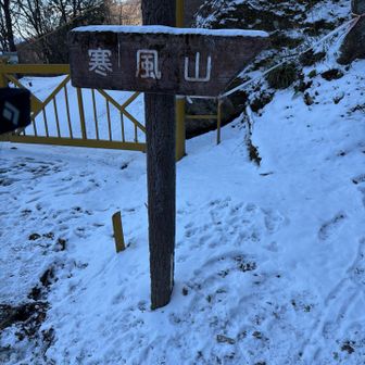 はい、戻ってきました