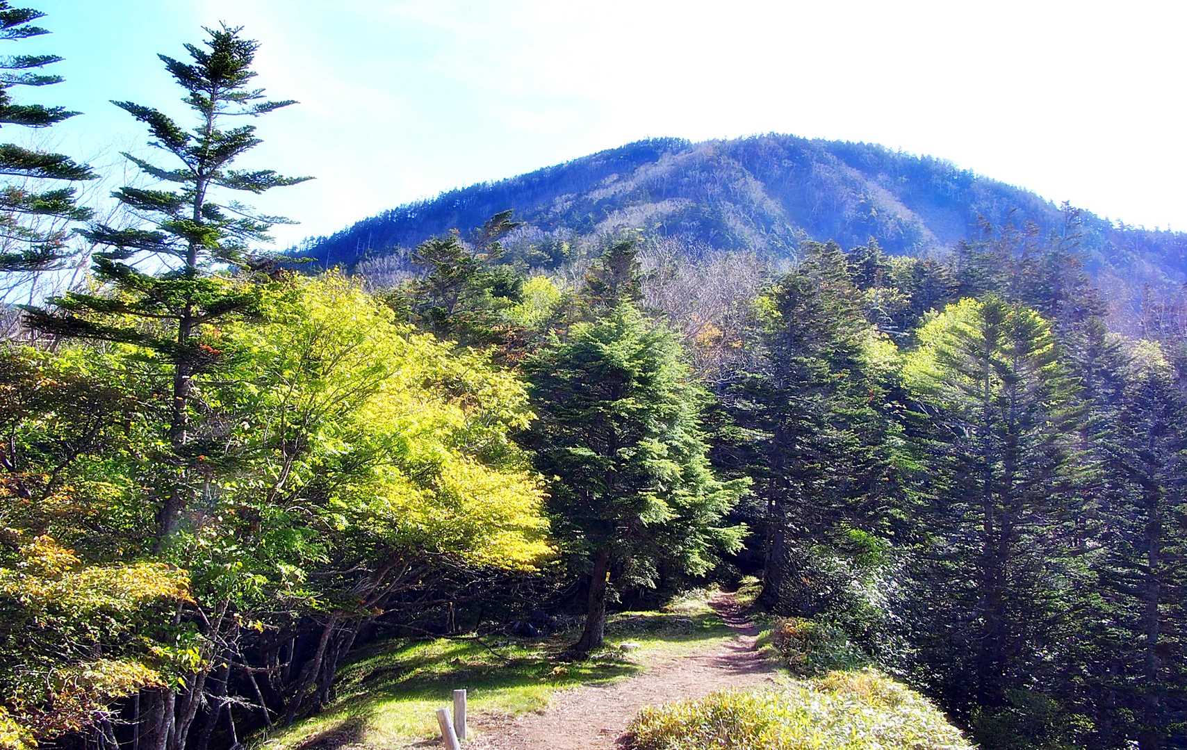 こちらが・・
これから行く・・
温泉ヶ岳✨✨
ここから先が・・
「シャクナゲ・ロード🌸」
楽しみですね～😄
