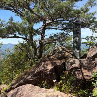 少し旧な斜面をぐんぐん登ったら、あっという間に山頂