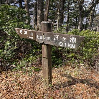 丹沢三峰ラスト‼️