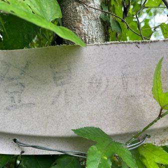 到着、標識の文字が薄い。
しまった、マジックを持って来てないのが残念😅