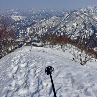 西俣からは一気に下るだけ。
まぁ、長いんだけど😵‍💫🤣