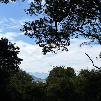 天香久山⛰️山頂から
