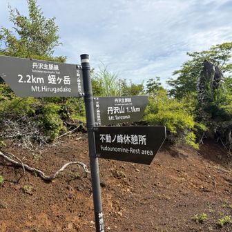 道標