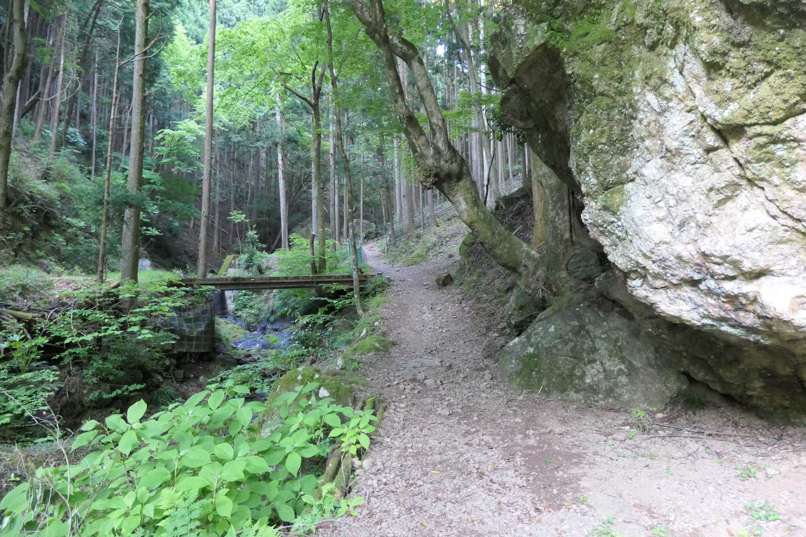 正丸駅-伊豆ヶ岳登山口-伊豆ヶ岳-長岩峠-伊豆ヶ岳登山口 周回コースの写真