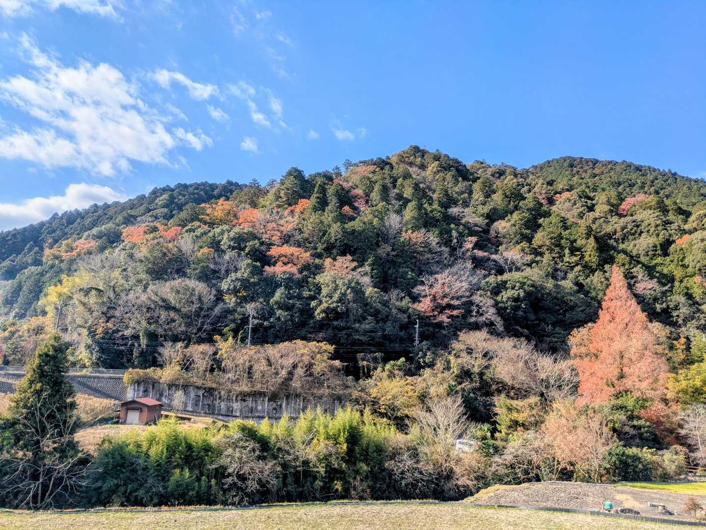 天見駅-旗尾岳-府庁山-府庁山最高点-田山-クヌギ峠-クヌ 縦走コースの写真