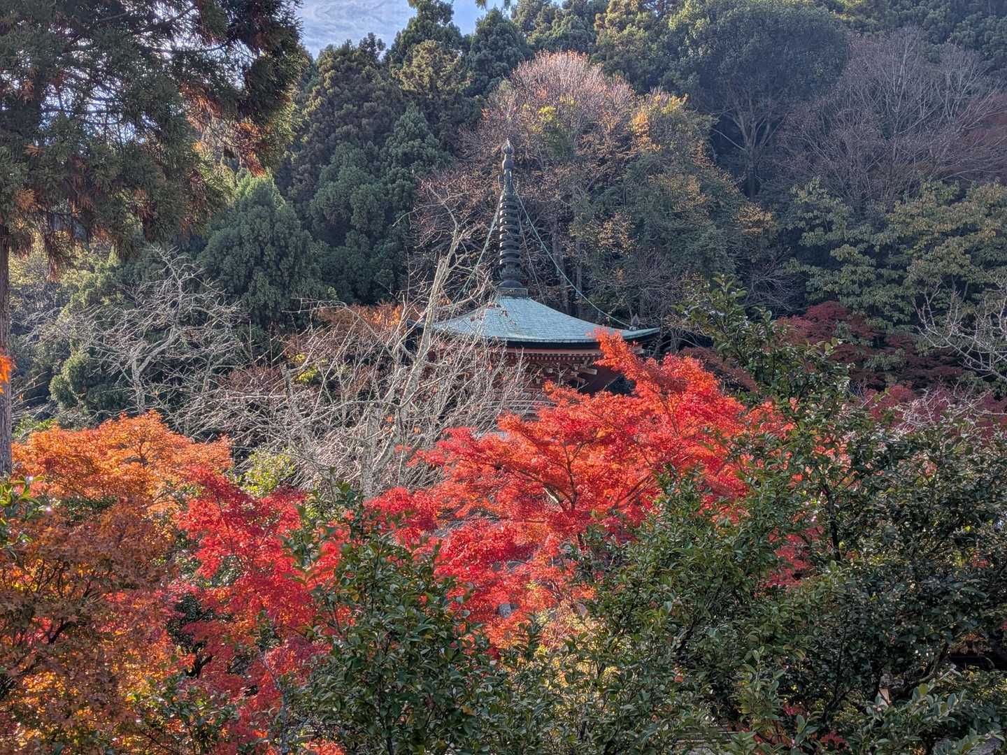 松尾山 往復コースの写真